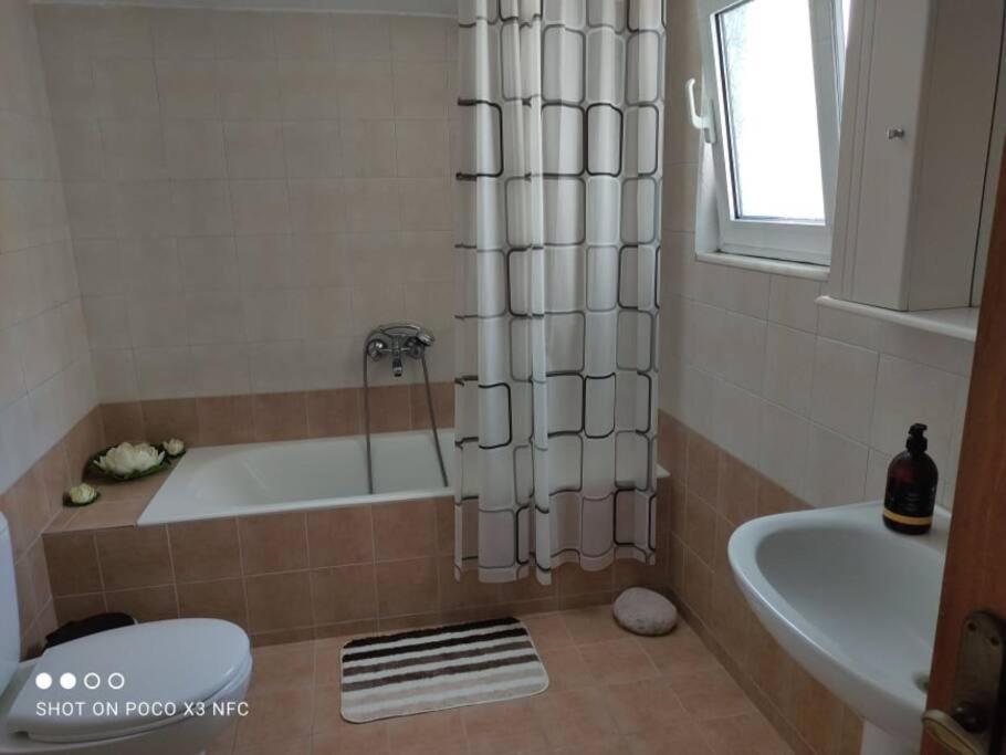 Villa Wild Orchid